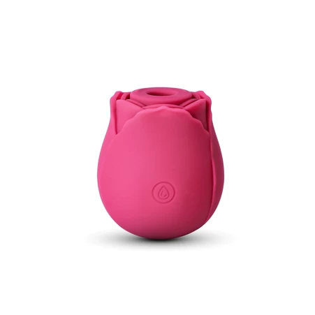 Rose Vibrator KS01A
