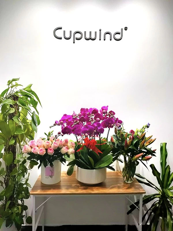 Cupwind candle holder supply china