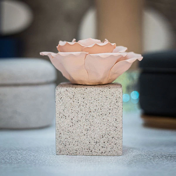 Home Fragrance زجاجة موزع سيراميك مربعة 6 أونصة