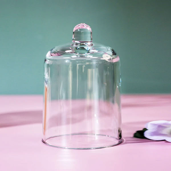 glass cloche Cupwind