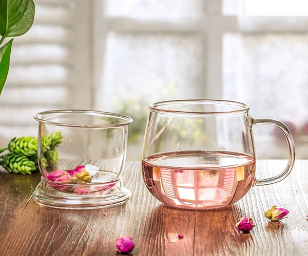 17oz Sustainable Bososilicate Glass Tea Cup with Glass Filter