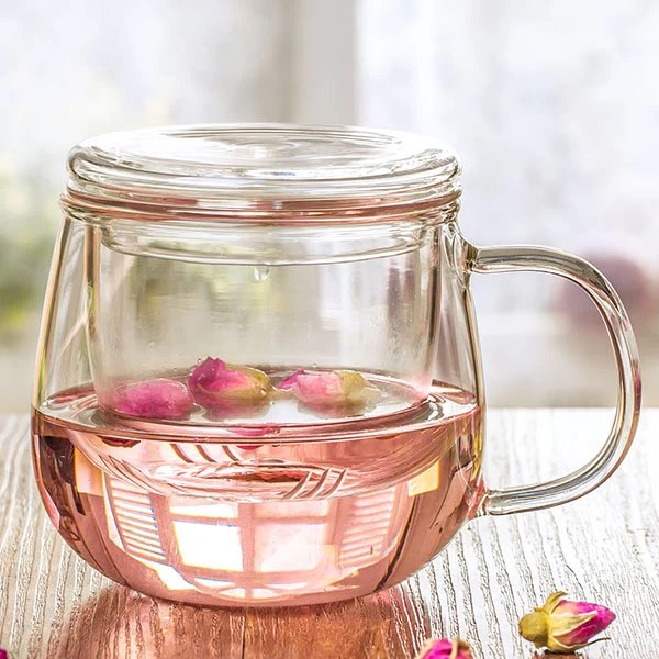 17oz Sustainable Bososilicate Glass Tea Cup with Glass Filter