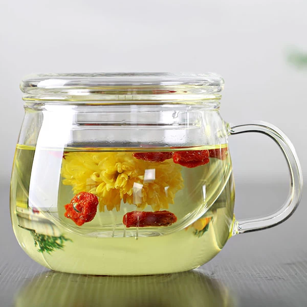 Sustainable Bososilicate Glass Tea Cup 10oz with Glass Filter