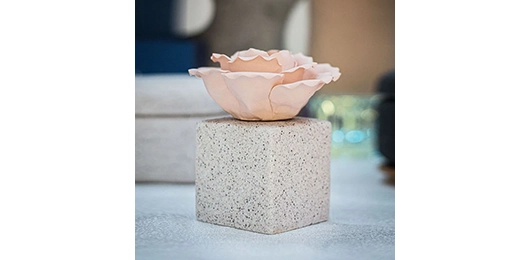 The Silent Fragrance: Mastering the Art of Reed Diffuser Vessels