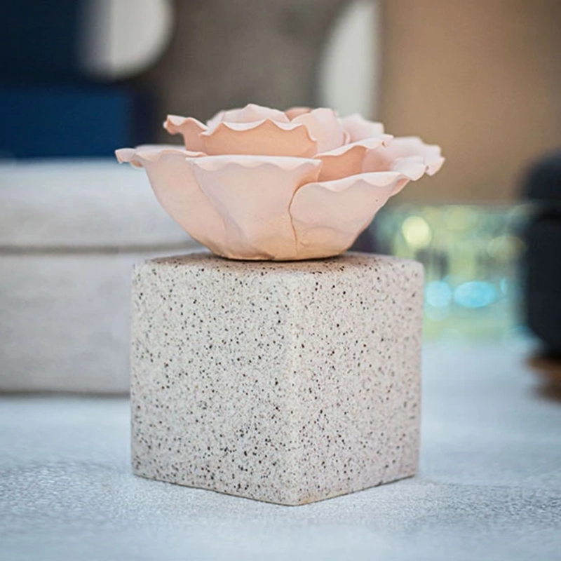 B2B premium diffuser packaging direct price