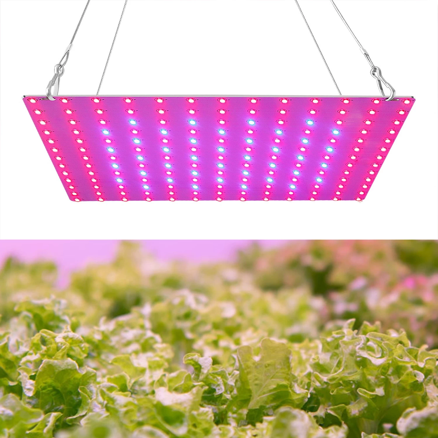 45W LED फुल स्पेक्ट्रम ग्रो लाइट