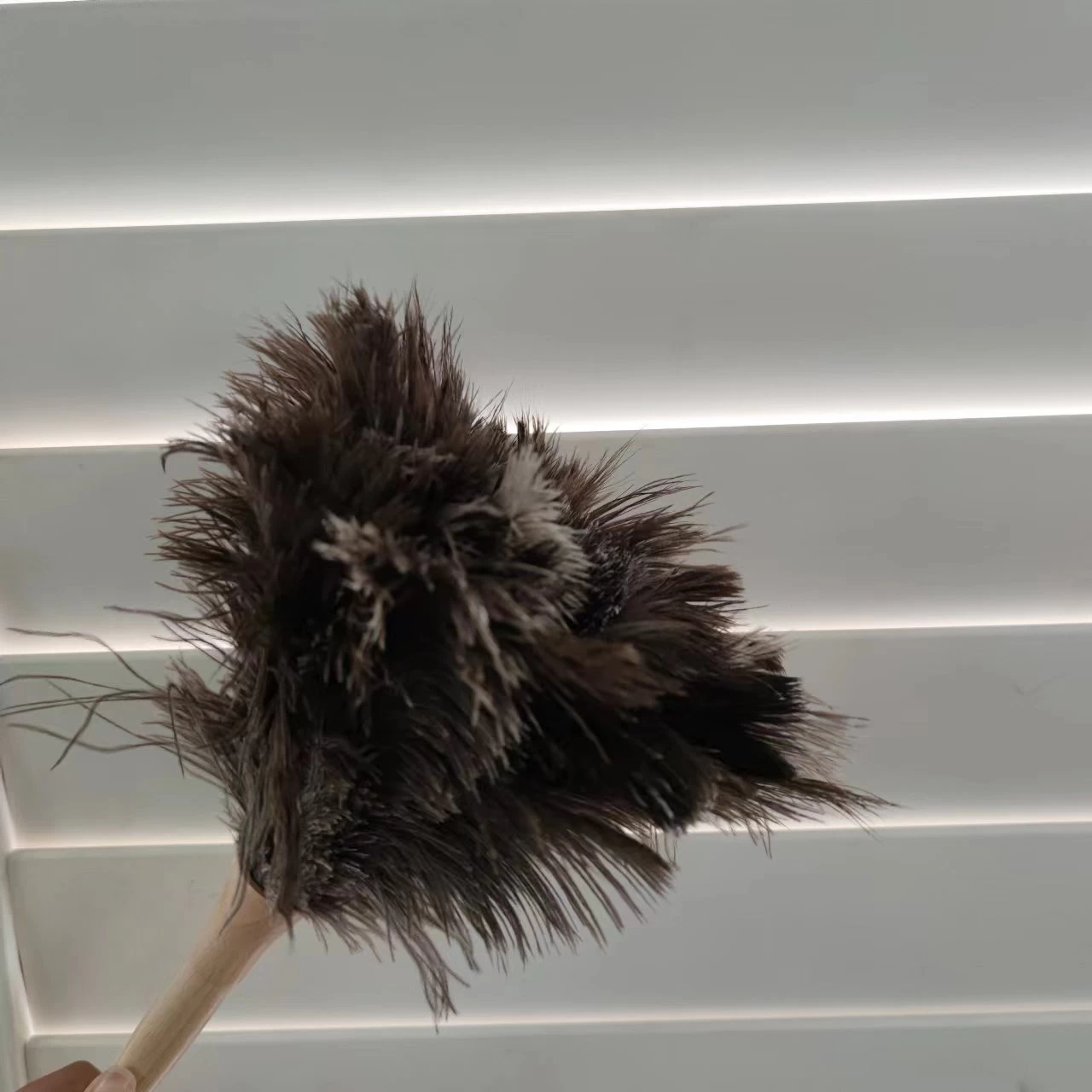 2022 new product ostrich feather duster,China ostrich feather duster supplier, China ostrich feather duster manufacturer,ostrich feather duster clean the plantation shutter