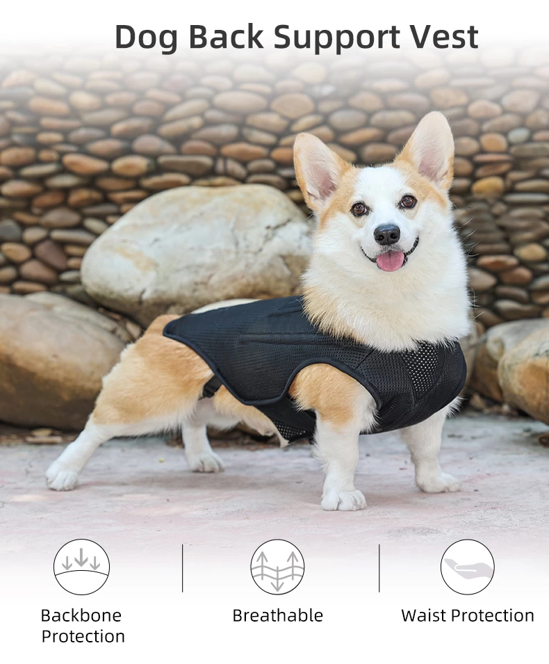 Dog Back Brace For Ivdd, Back Brace Comfortable Full Body Harness