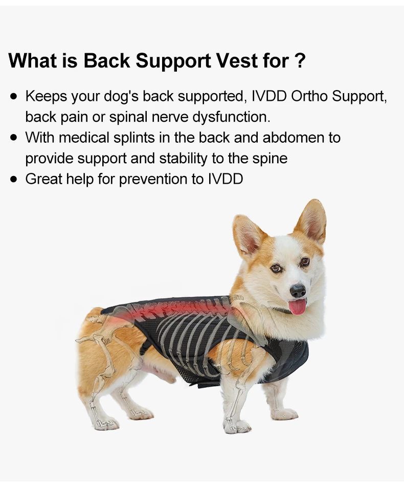 Dog Back Brace For Ivdd, Back Brace Comfortable Full Body Harness Dog  Clothing Dog Back Protector M