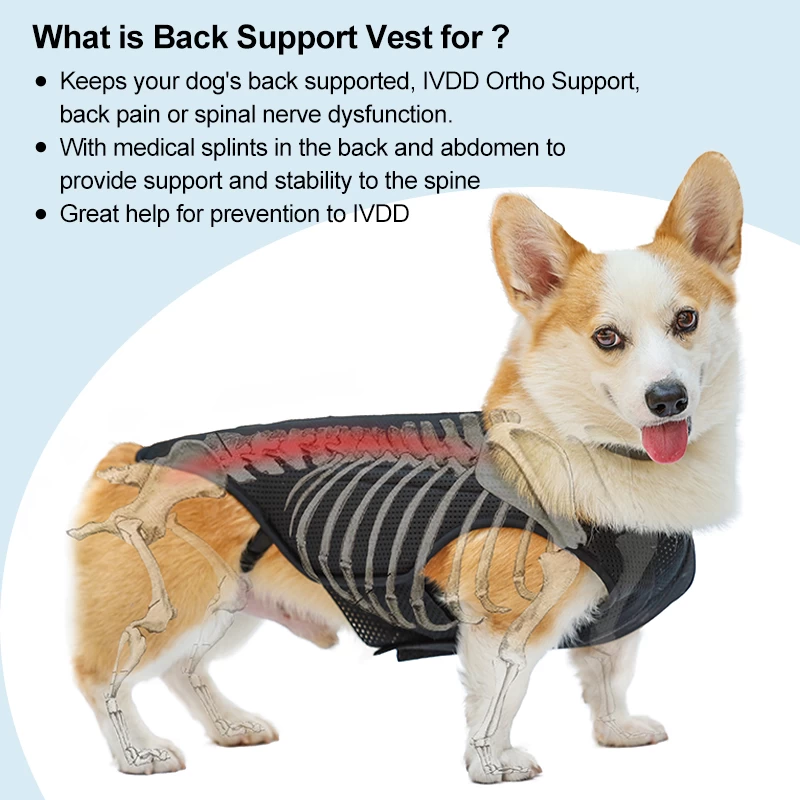Chaleco de soporte para huesos de la espalda del perro IVDD, recuperación y rehabilitación de enfermedades del disco intervertebral, arnés para aliviar el dolor de espalda de mascotas