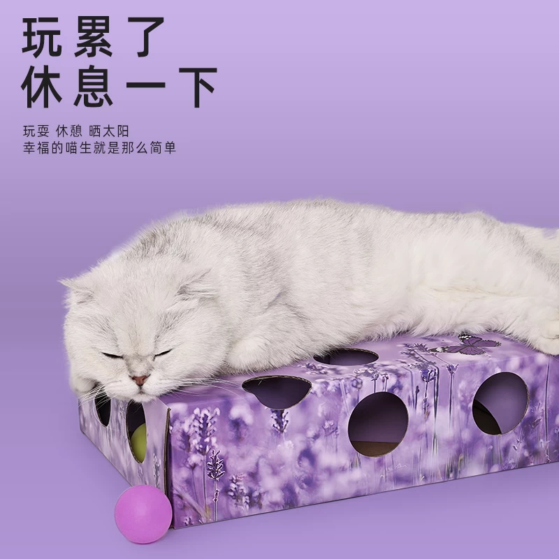 Cat Teasing Toy Ball Game Having Fun Corrugated Paper Box Release Energy Pressure Teaser Toy