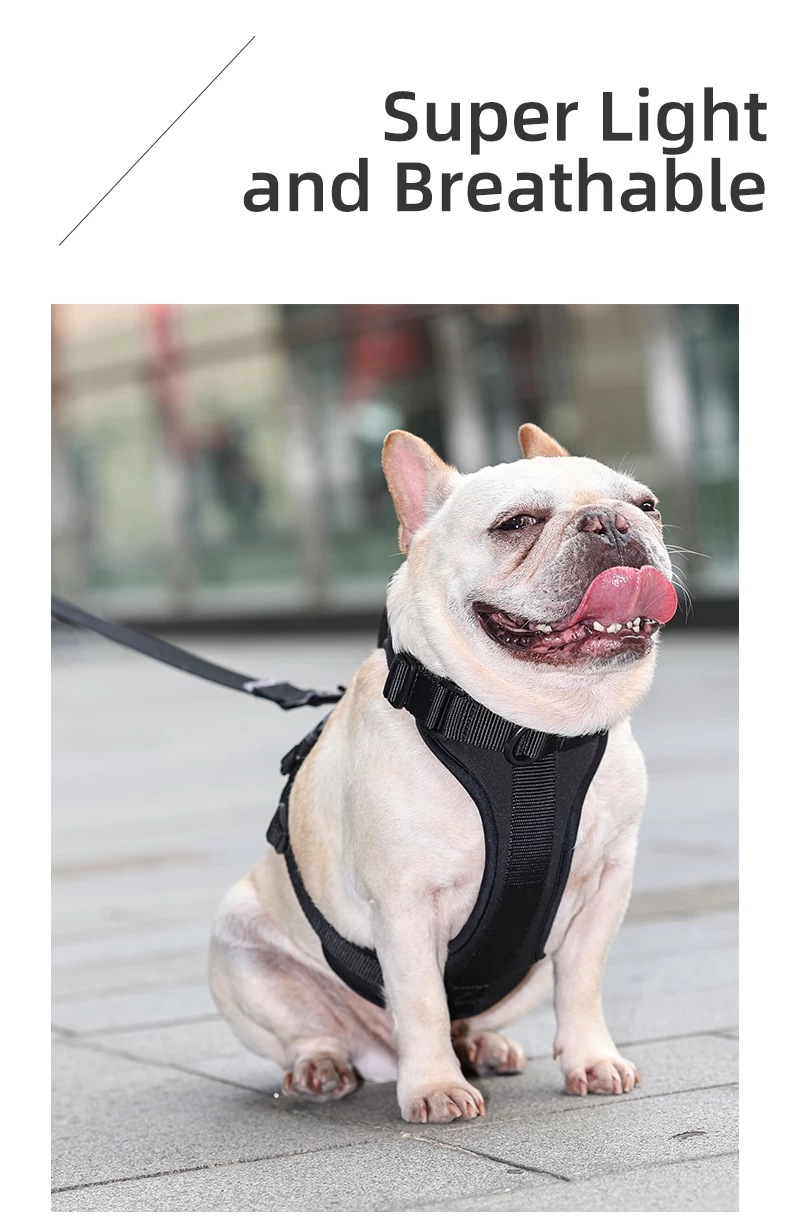 Breathable & Padded French Bulldog Harness and Leash