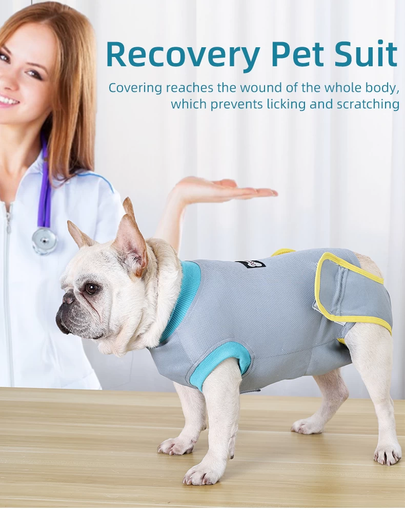 Breathable Recovery Suit For Dogs After Surgery Male And Female