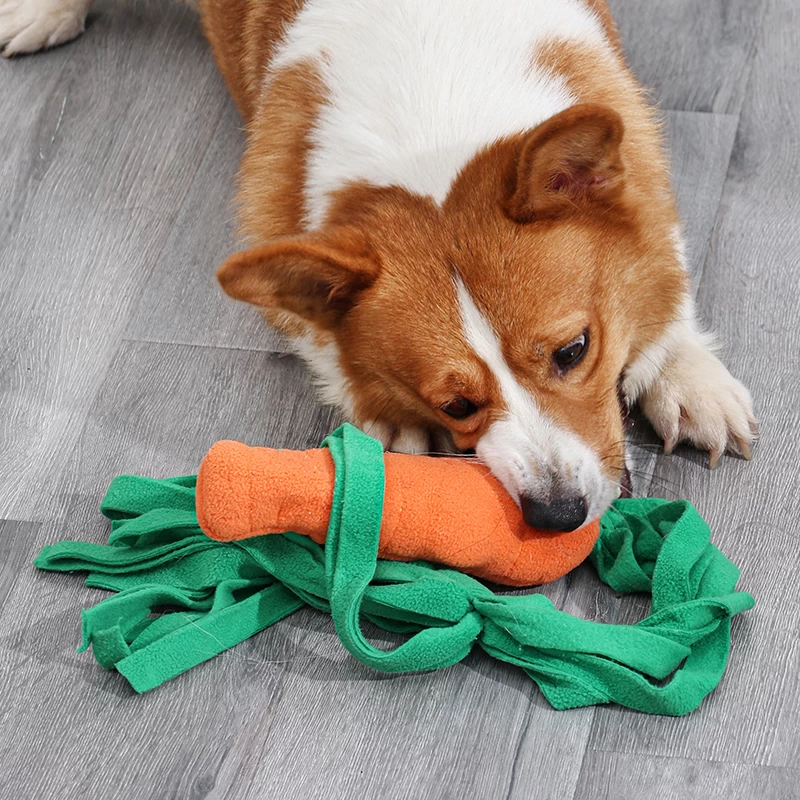 Hunde-Schnüffelspielzeug im Karotten-Design