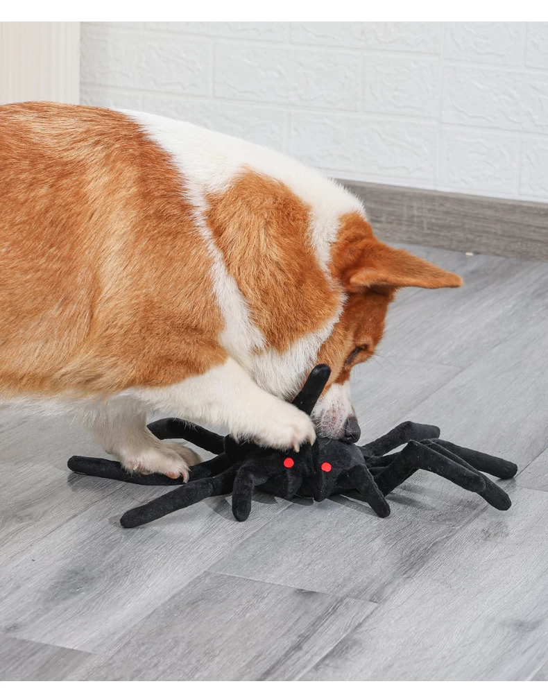 Halloween spider cheap dog toy