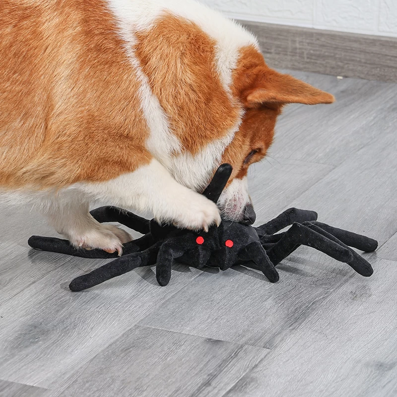 Juguete para perro IQ con diseño de araña de Halloween