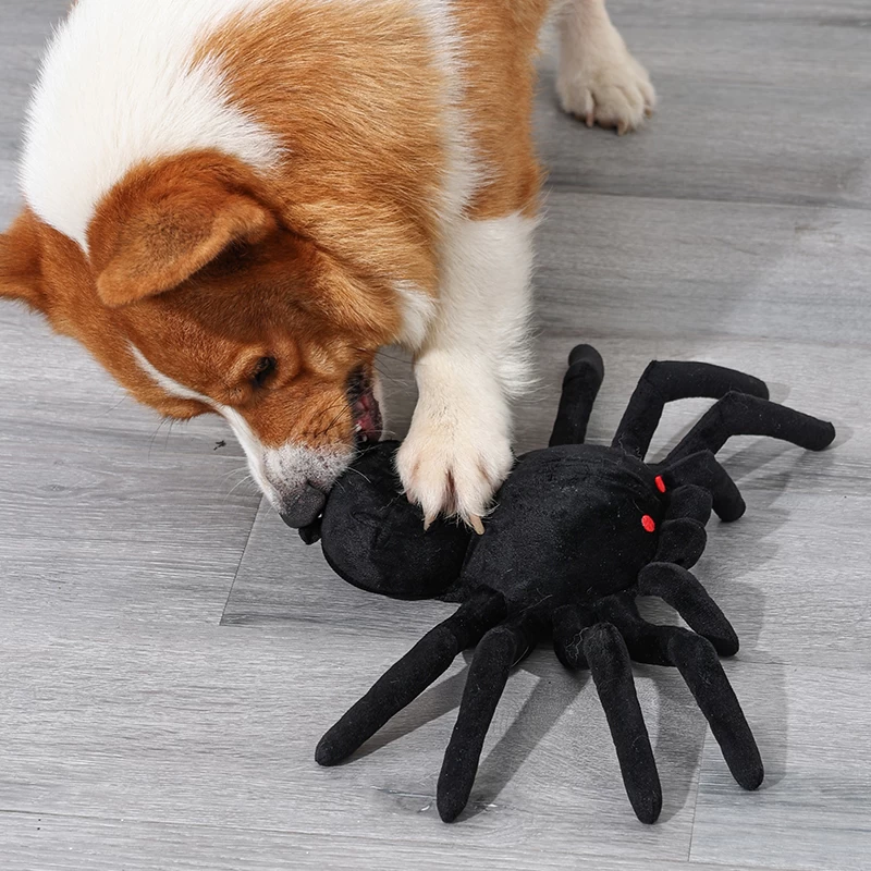 Juguete para perro IQ con diseño de araña de Halloween