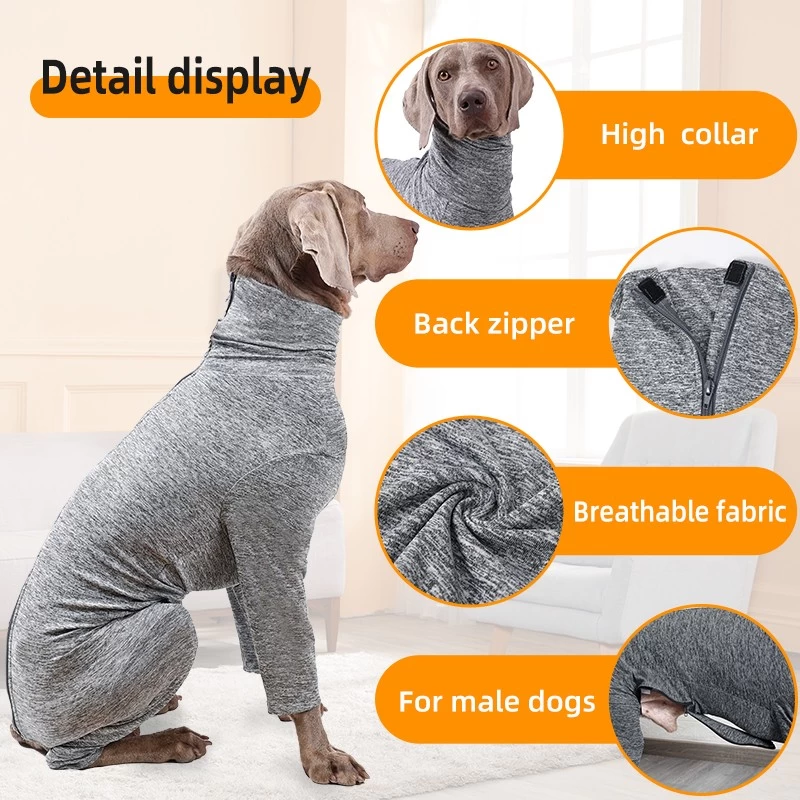 Dog onesie surgery best sale