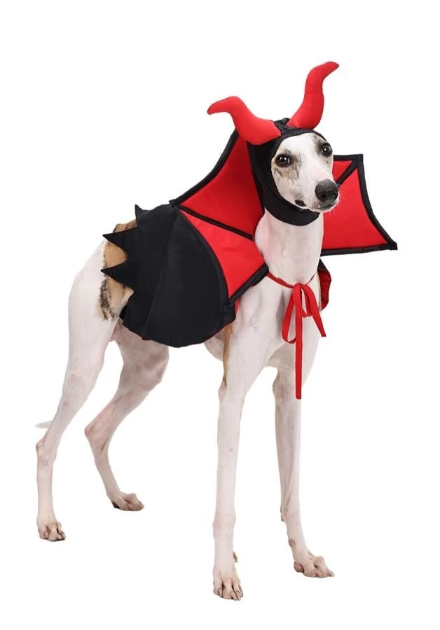 China 2 Pcs Pet Halloween Costume Cat Dog Cosplay Vampire Cape Devil Horns Hat Halloween Party Pet Cosplay manufacturer