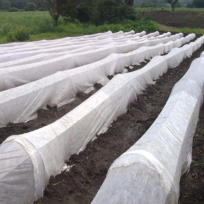 China What is agricultural PP spunbond fabric? manufacturer