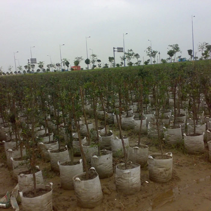 China Non Woven Planter Potato Growing Tree Planting Garden Felt Grow Bags Nonwoven Planter Pots Supplier manufacturer