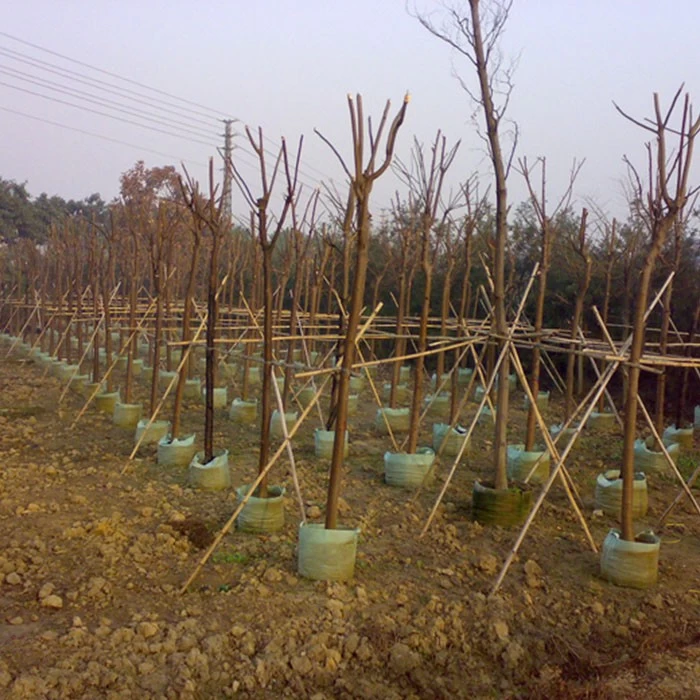 China Non Woven Planter Potato Growing Tree Planting Garden Felt Grow Bags Nonwoven Planter Pots Supplier manufacturer
