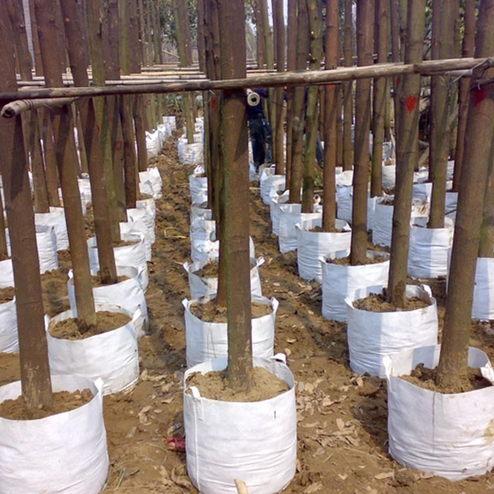China Durable and breathable Felt Grow Bag for Potato Plant