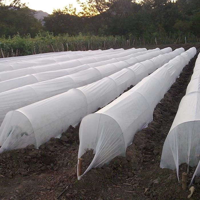 porcelana Proveedor de mantas para plantas no tejidas Cubierta de seguridad para plantas de fresa Hoja de película de mantillo biodegradable fabricante