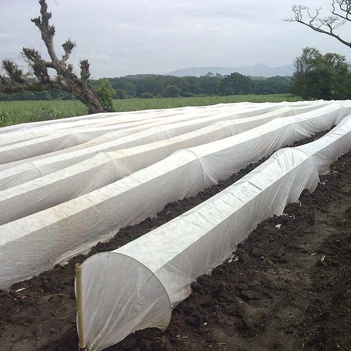 China Agricultural Non Woven Fabric Custom Winter Thickened Fabric Frost Cloth Plant Blanket For Vegetables manufacturer