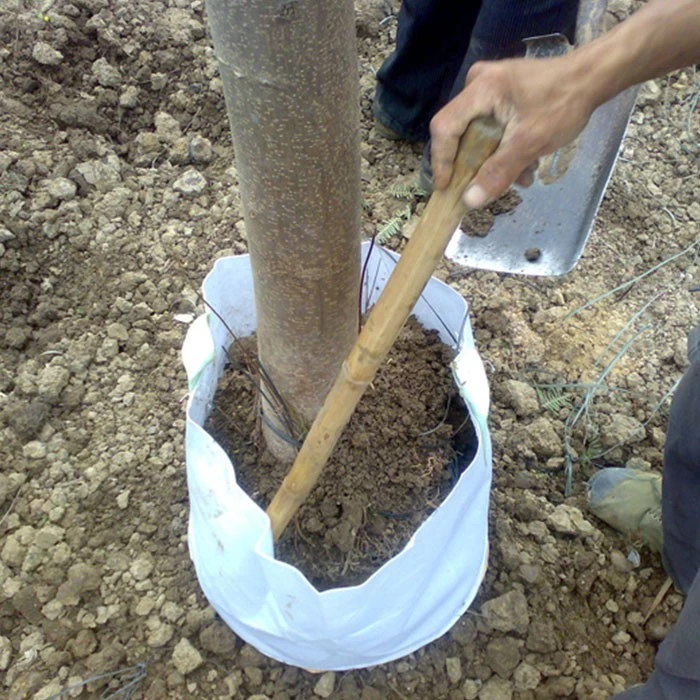 China Do you know the advantages and disadvantages of planting in non-woven tree bags? manufacturer