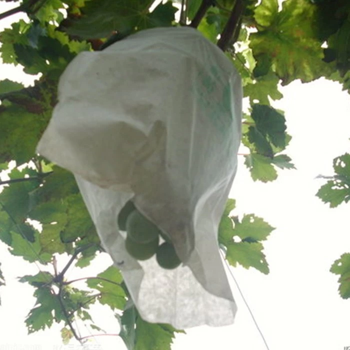 Ensacamento de uva não tecido por atacado polipropileno material não tecido spunbond sacos de proteção de frutas