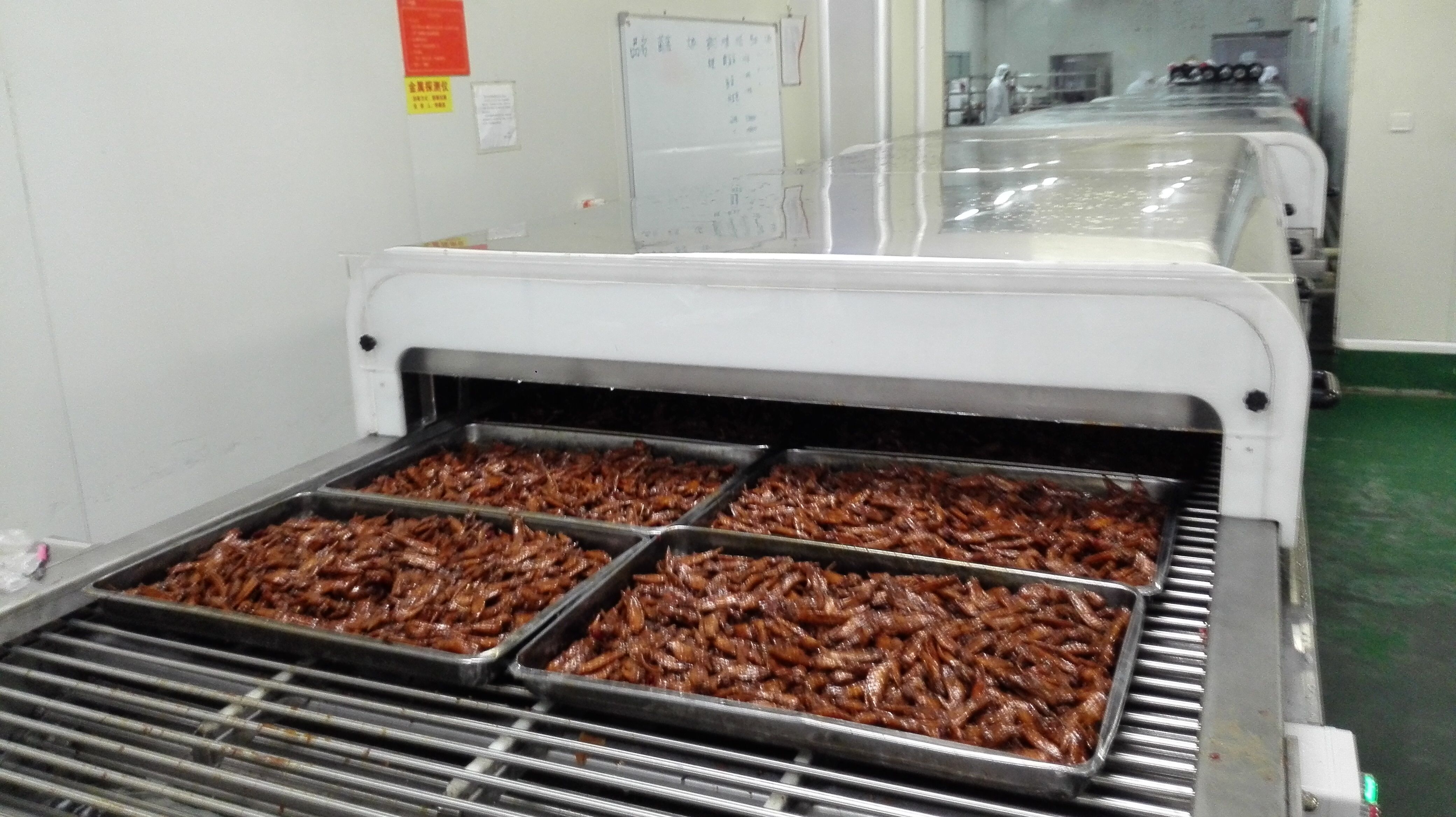 Cina Tunnel di raffreddamento rapido per biscotti, impasti e pasticcini produttore