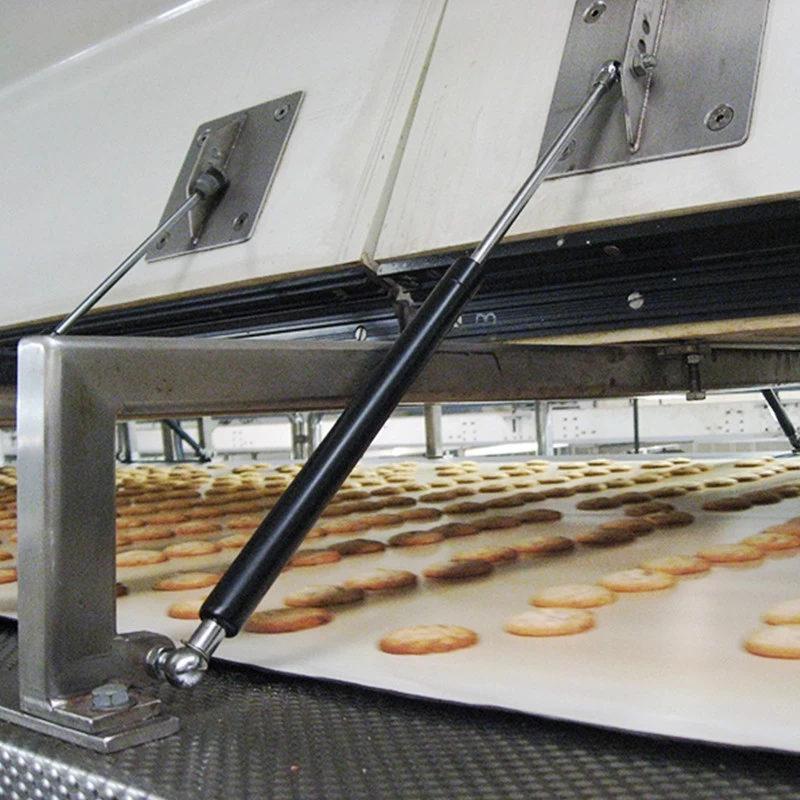Production line of AMC cookies cooling tunnel