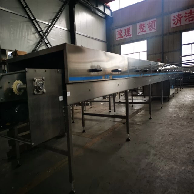 Leading Supplier High Performance Plastic Conveyor Chocolate Food Cooling Tunnel