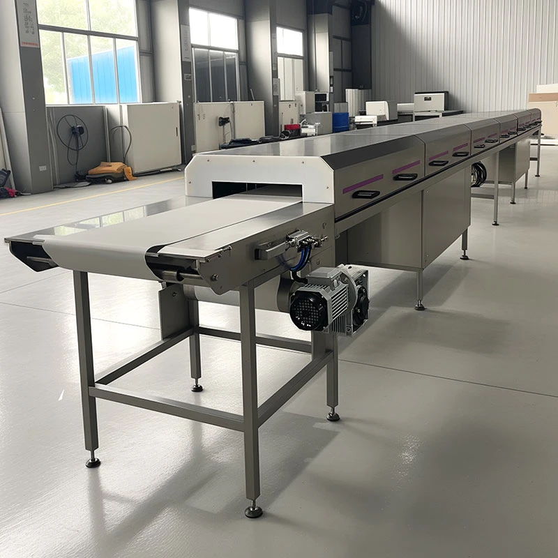 China Customizable Food Cooling Conveyor/Biscuit Candy Cooling Conveyor/Chocolate Cooling Tunnel manufacturer