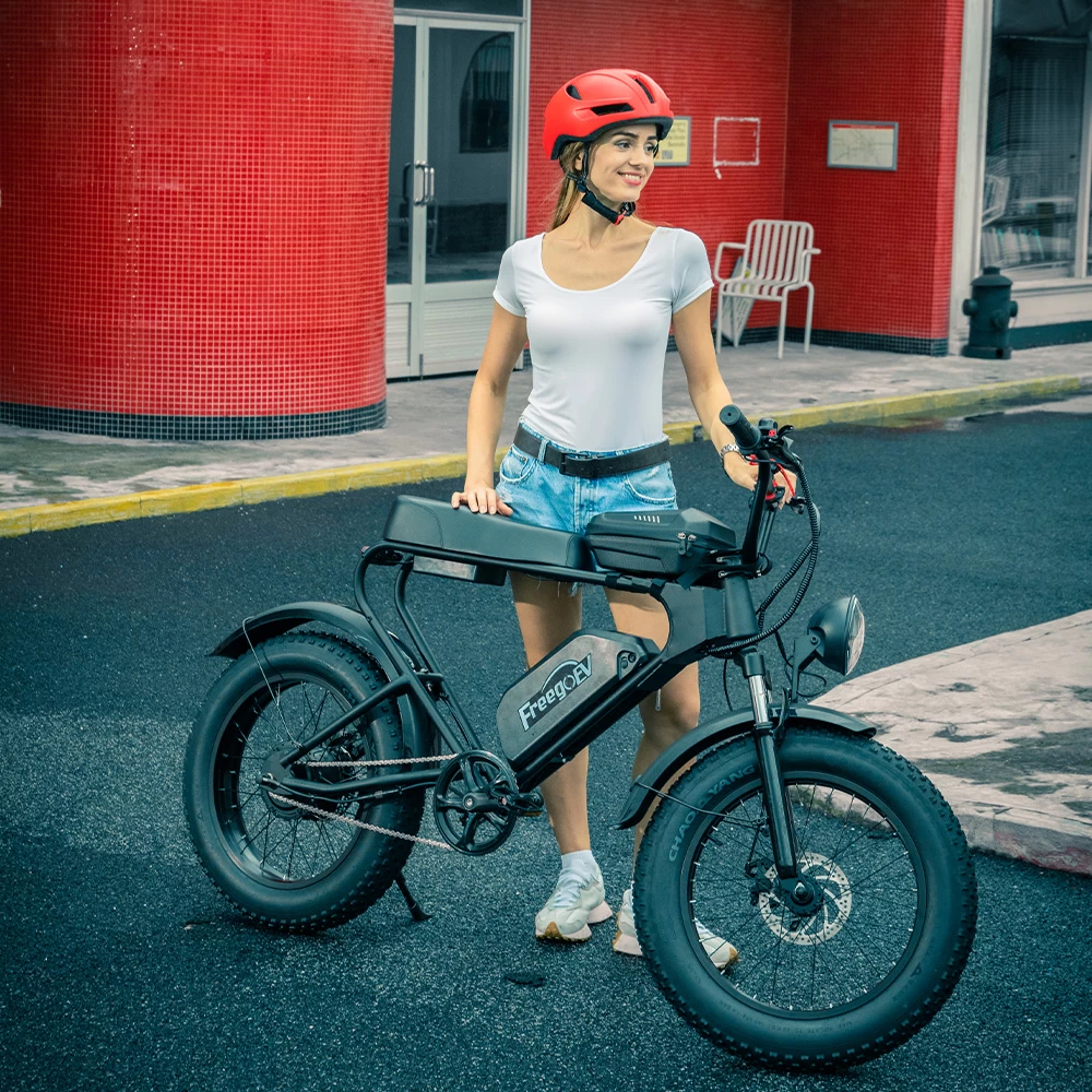 China Elektrische fiets met dikke banden met 20