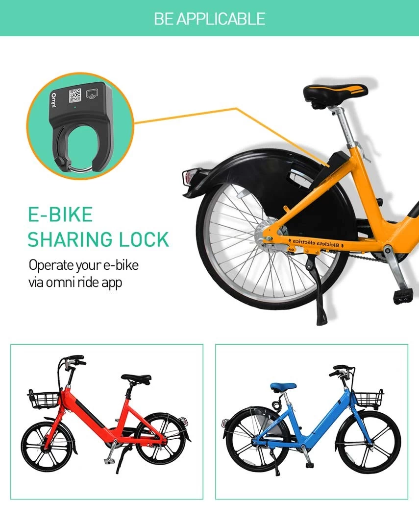 Ride sharing 2024 e bike price