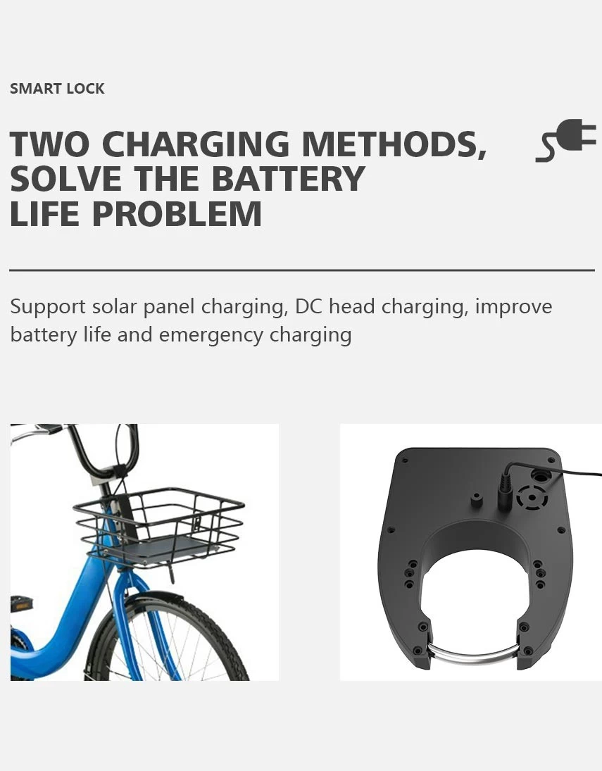 Built in bike lock online