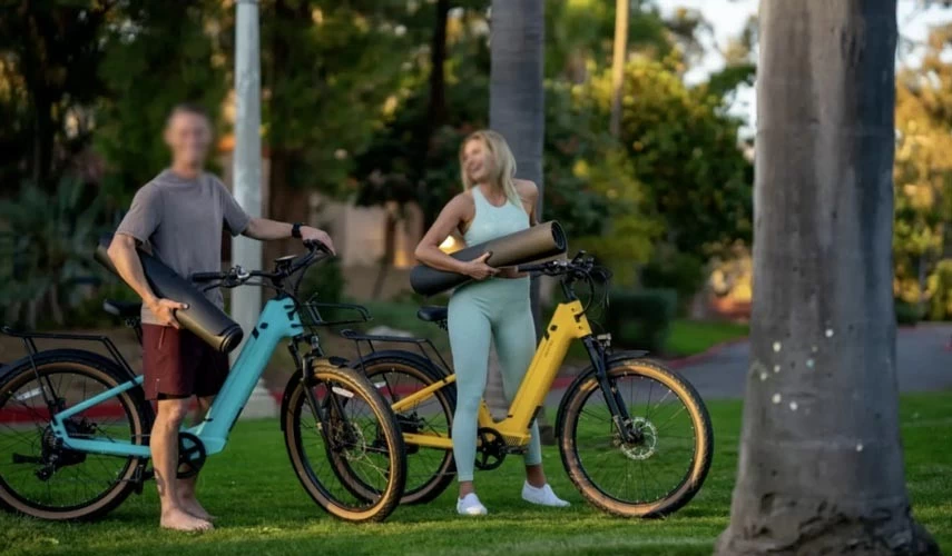 electric bike lock