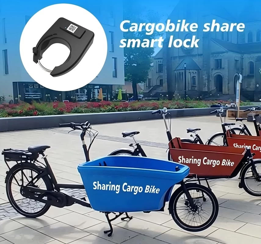 remote bike lock