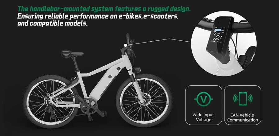 e-bike lcd
