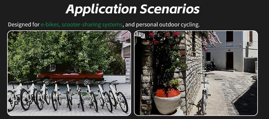 electric bicycle display