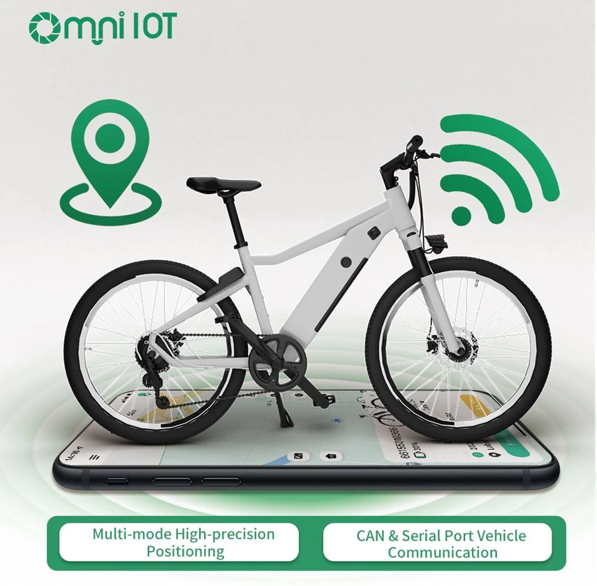 ebike display
