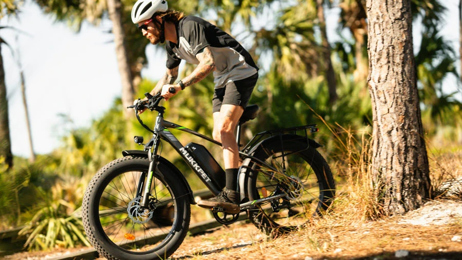 electric bike lock system