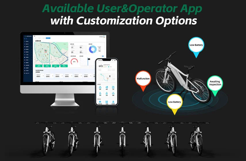 electric bicycle display