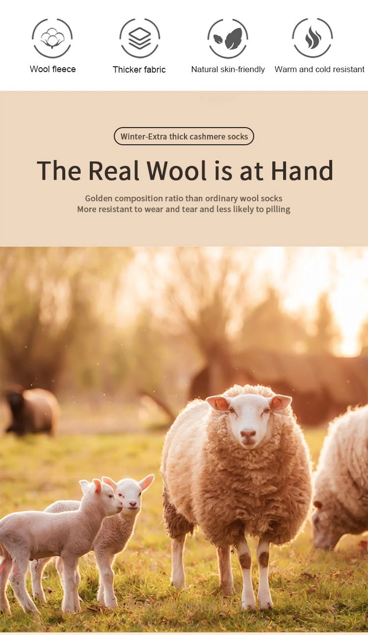 Low price thick warm socks manufacturer