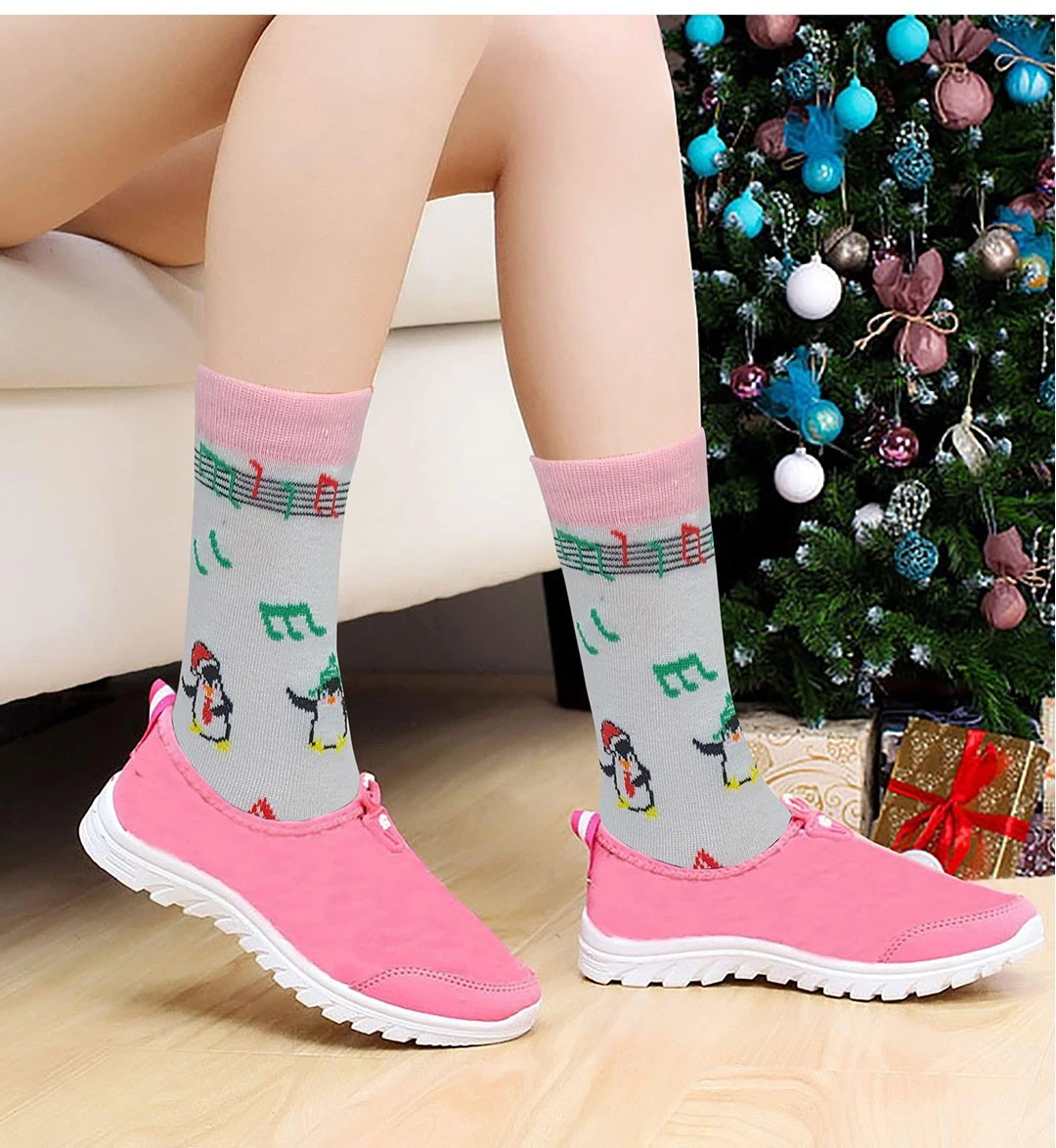 Fashion Cotton Socks Supplier