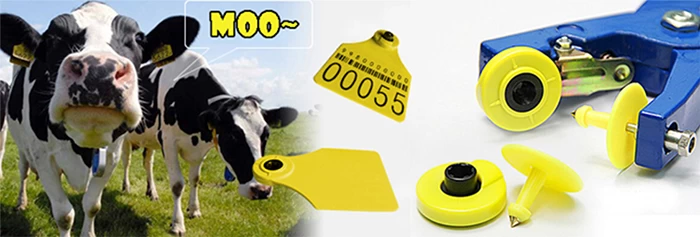 electronic ear tags for cattle