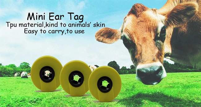 rfid ear tag