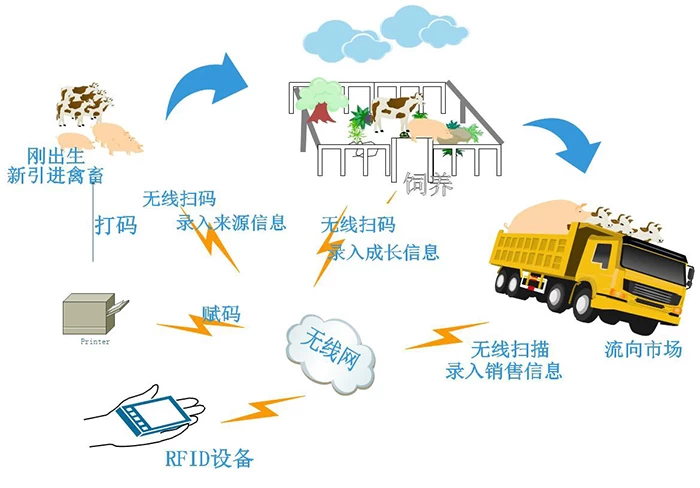 RFID livestock husbandry management solution